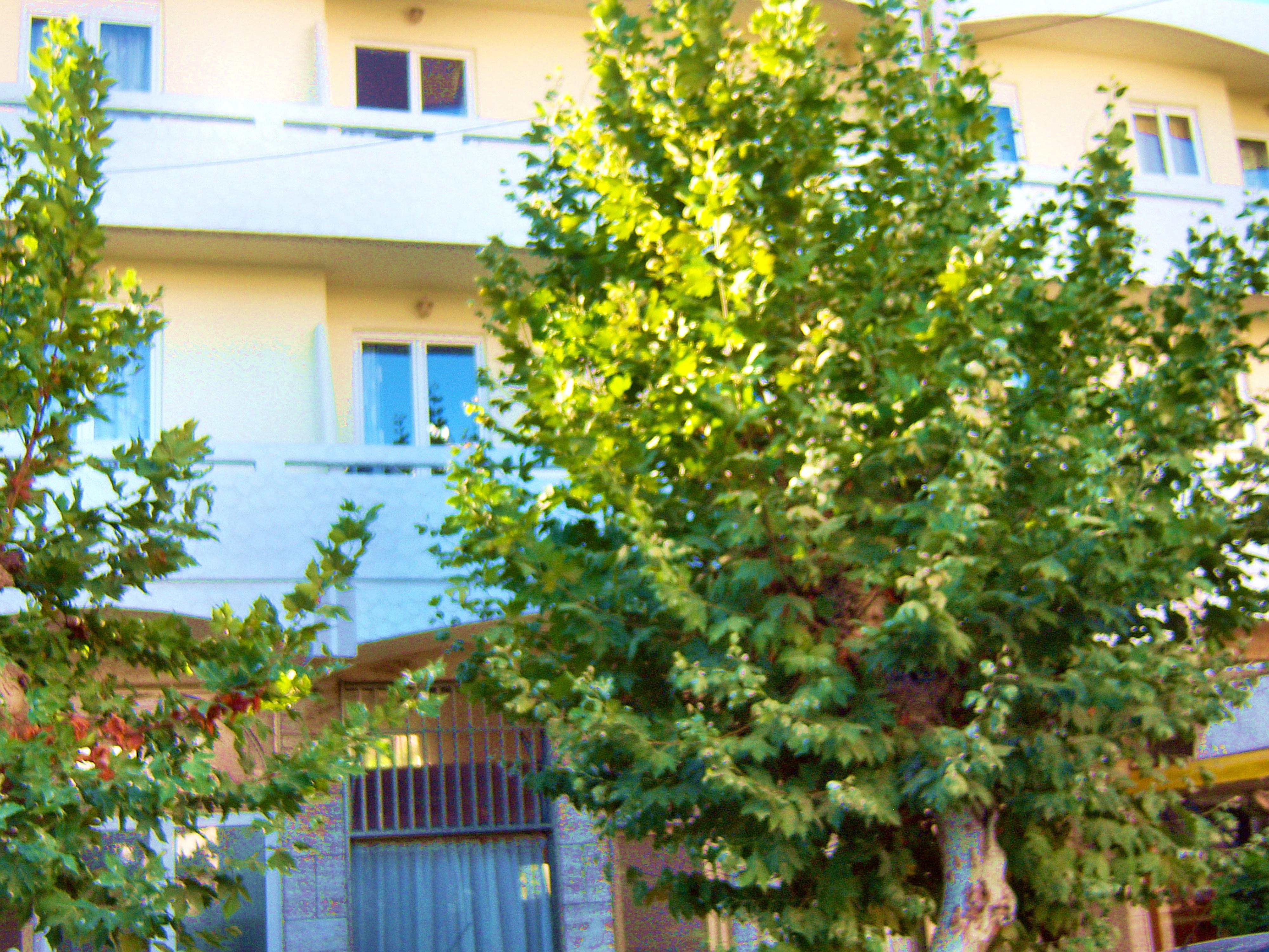 Fantasia Hotel Apartments Miasto Kos Zewnętrze zdjęcie